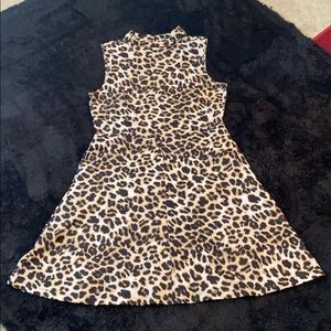Leonard Print A-Line Dress